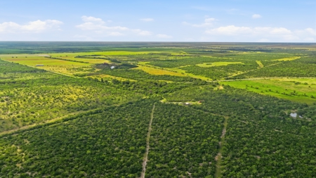 Turnkey South Texas Cattle & Hunting Ranch with Executive Home - image 41