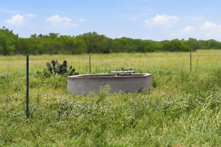 Turnkey South Texas Cattle & Hunting Ranch with Executive Home - image 29