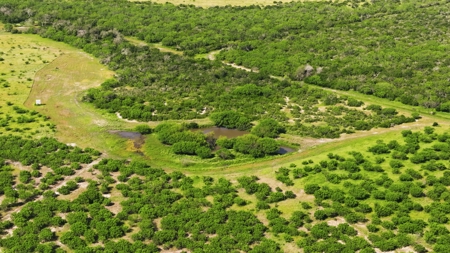 Turnkey South Texas Cattle & Hunting Ranch with Executive Home - image 3