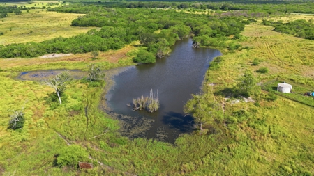 Turnkey South Texas Cattle & Hunting Ranch with Executive Home - image 40