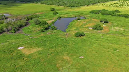 Turnkey South Texas Cattle & Hunting Ranch with Executive Home - image 35