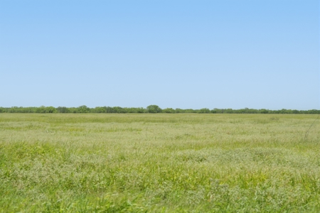 Turnkey South Texas Cattle & Hunting Ranch with Executive Home - image 31