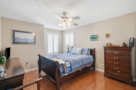 Turnkey South Texas Cattle & Hunting Ranch with Executive Home - image 13
