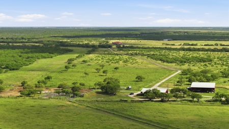 Turnkey South Texas Cattle & Hunting Ranch with Executive Home - image 36