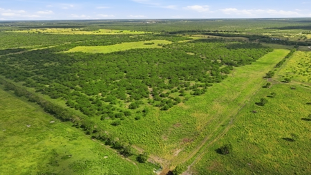 Turnkey South Texas Cattle & Hunting Ranch with Executive Home - image 37