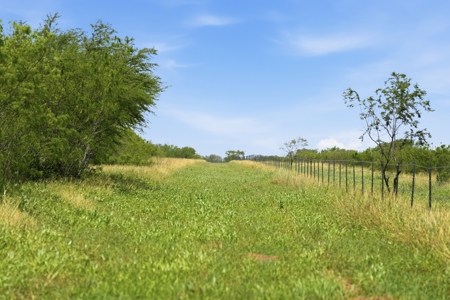 Turnkey South Texas Cattle & Hunting Ranch with Executive Home - image 32