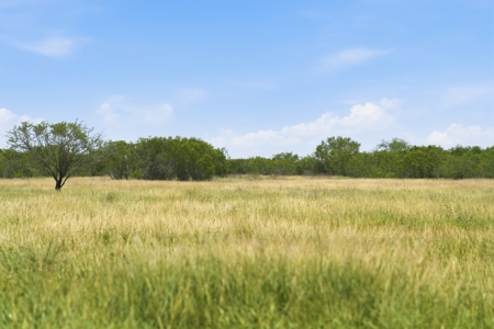 Turnkey South Texas Cattle & Hunting Ranch with Executive Home - image 33
