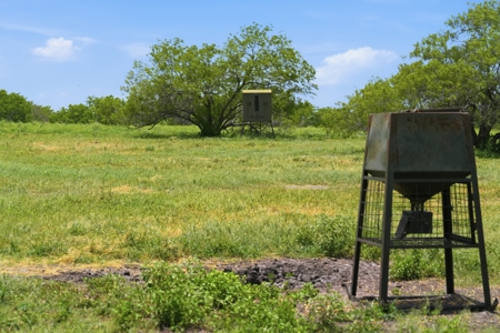 Turnkey South Texas Cattle & Hunting Ranch with Executive Home - image 34
