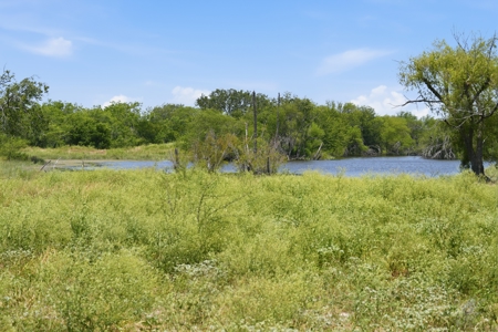 Turnkey South Texas Cattle & Hunting Ranch with Executive Home - image 25