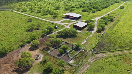 Turnkey South Texas Cattle & Hunting Ranch with Executive Home - image 2