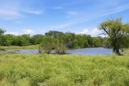 Turnkey South Texas Cattle & Hunting Ranch with Executive Home - image 27