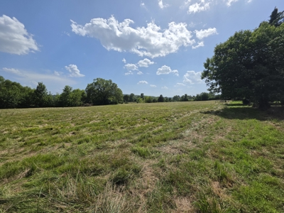 Country Home – Shop – Barn - 7 Acres – Homestead Property - image 38