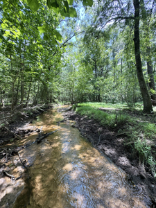 Cotton House Tract: premier 545ac hunting & recreational property - image 34