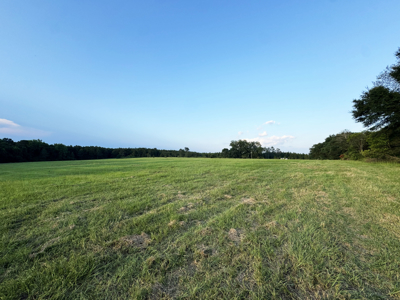 Cotton House Tract: premier 545ac hunting & recreational property - image 38