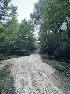 Cotton House Tract: premier 545ac hunting & recreational property - image 37