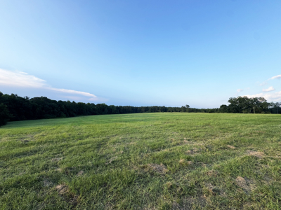 Cotton House Tract: premier 545ac hunting & recreational property - image 39