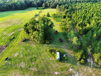 Cotton House Tract: premier 545ac hunting & recreational property - image 50