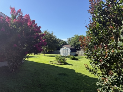 3 Bedroom 2 Bath Brick Home with Garage - Nicholasville, KY. - image 8
