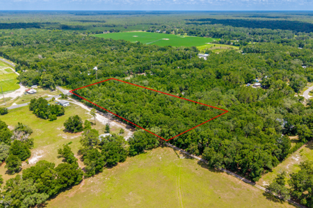 5 acres of buildable land located in Old Town FL - image 3
