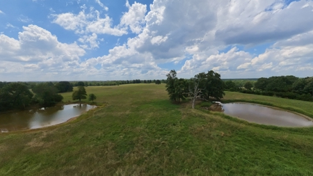 Cattle Farm on 160± Acres with Extensive Farm Infrastructure - image 9