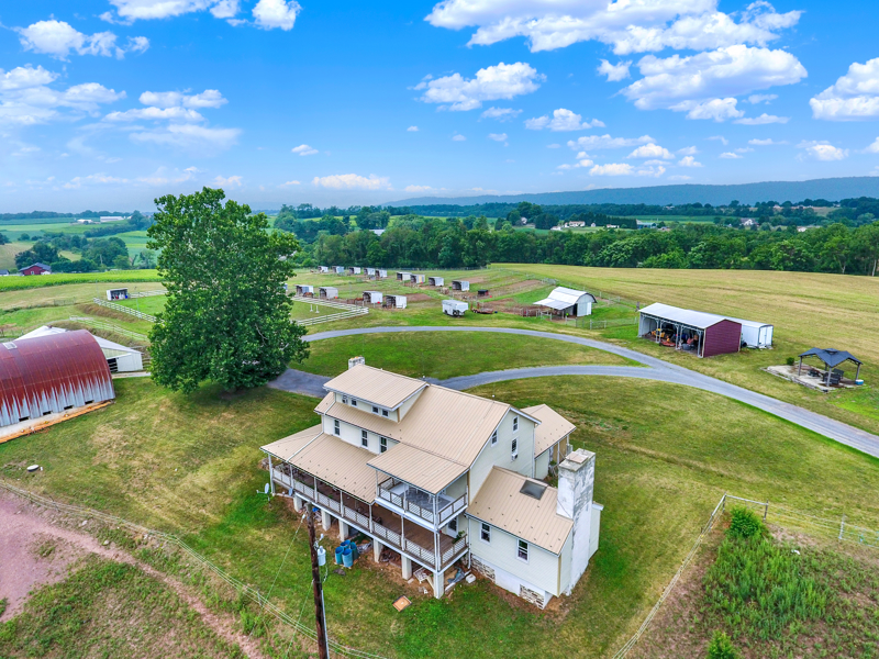No Caption