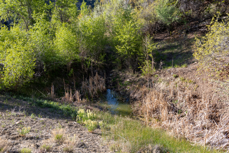 Mountain Hunting Property Surrounded by Public Land - image 9
