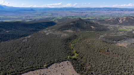 Mountain Hunting Property Surrounded by Public Land - image 32