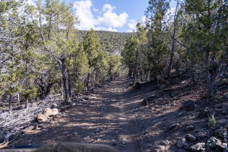 Mountain Hunting Property Surrounded by Public Land - image 27