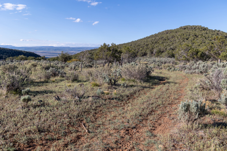 Mountain Hunting Property Surrounded by Public Land - image 7