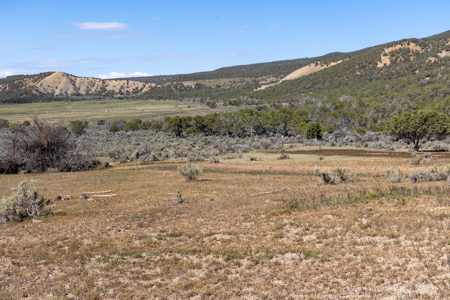 Mountain Hunting Property Surrounded by Public Land - image 28