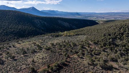 Mountain Hunting Property Surrounded by Public Land - image 30