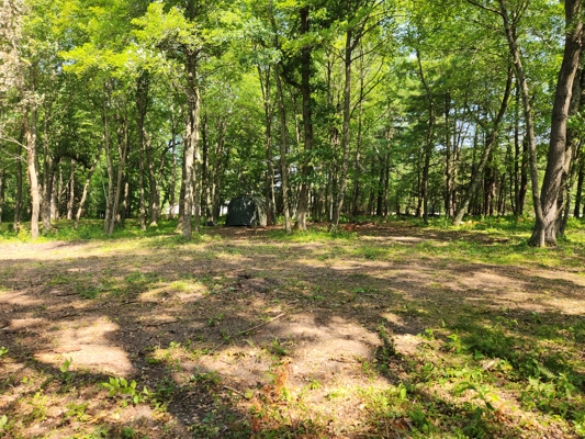 3.3 acres located on Hwy 21 Redgranite WI