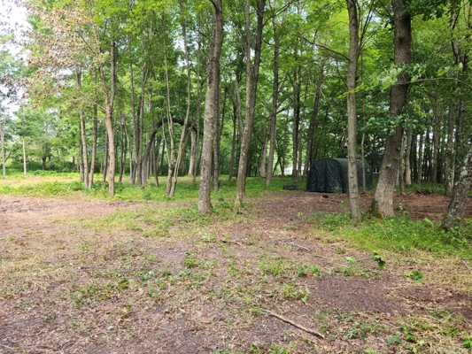 3.3 acres located on Hwy 21 Redgranite WI