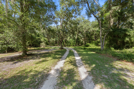 Beautiful Home On 15.5 Private Acres in North Florida - image 5
