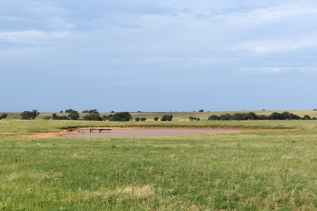 Land For Sale Cotton County Oklahoma Ranch Property Headquarters - image 9