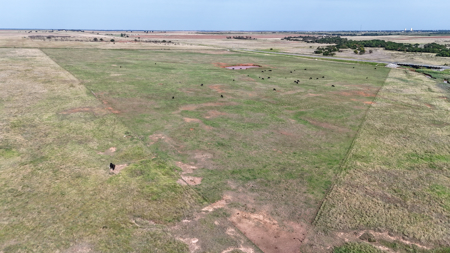 Ranch for Sale Cotton County Oklahoma Properties Land Auction - image 6