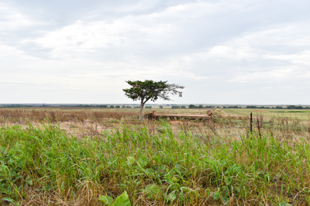 Land for Sale Temple Cotton County Oklahoma Ranch Property - image 3