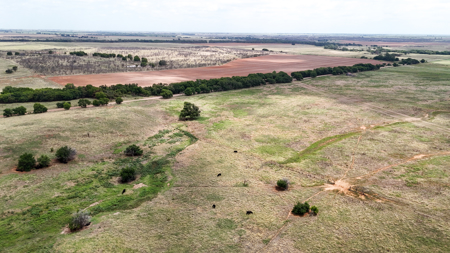 Land for Sale Cotton County Oklahoma Ranch Property Pasture - image 3