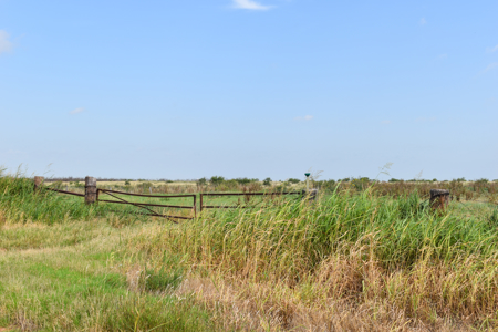 Cotton County Ranch Land for Sale Temple Oklahoma Property - image 4