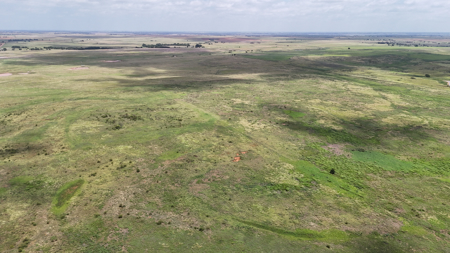 Cotton County Ranch Land for Sale Temple Oklahoma Property - image 6