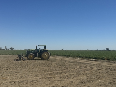 Woodland, Northern California Farmable Ag Land For Sale - image 3