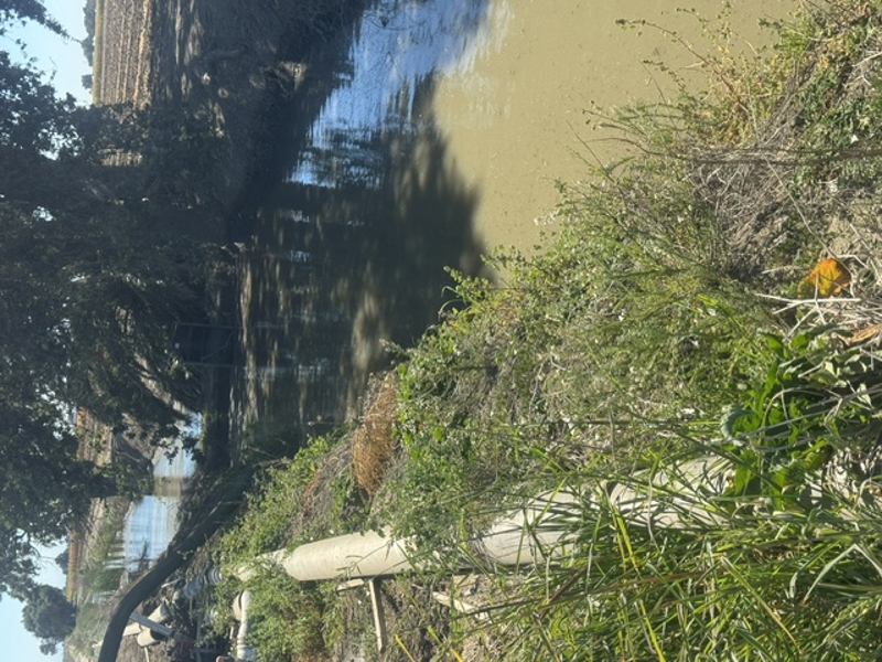 No Caption