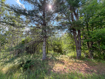 Homesite with Improvements - Bucksport, Maine - image 1