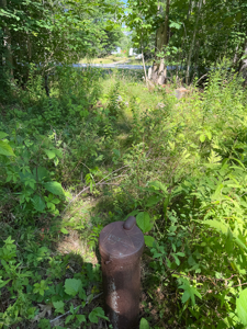 Homesite with Improvements - Bucksport, Maine - image 5