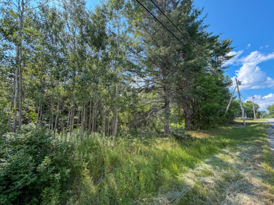Homesite with Improvements - Bucksport, Maine - image 2