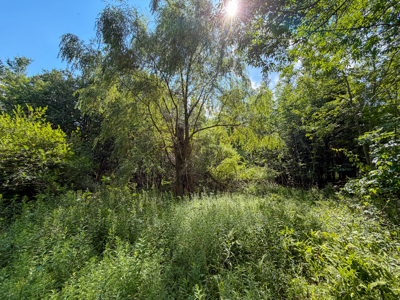 Homesite with Improvements - Bucksport, Maine - image 7