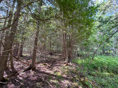 Homesite with Improvements - Bucksport, Maine - image 8