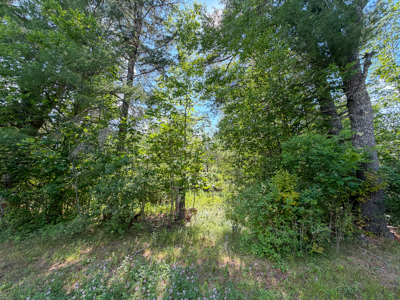 Homesite with Improvements - Bucksport, Maine - image 3