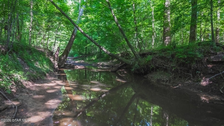 Trophy Bass Fishing and Hunting Property Starkville MS - image 39