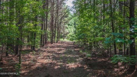 Trophy Bass Fishing and Hunting Property Starkville MS - image 42